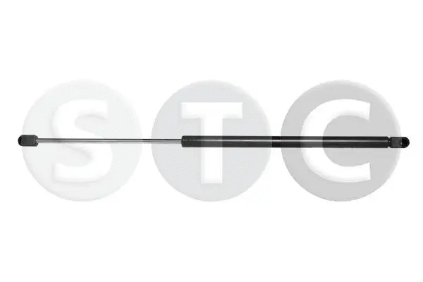 Gas Spring, boot/cargo area (T446790)