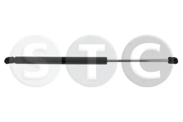 Gas Spring, boot/cargo area (T446551)
