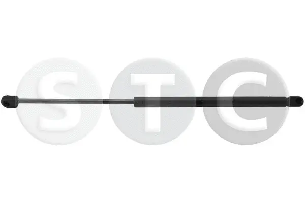 Gas Spring, boot/cargo area (T446617)