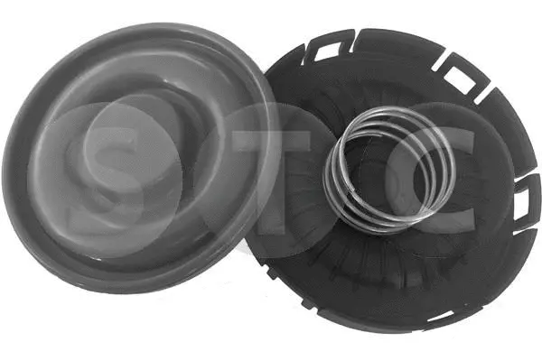 Membrane, crankcase ventilation (T493512)