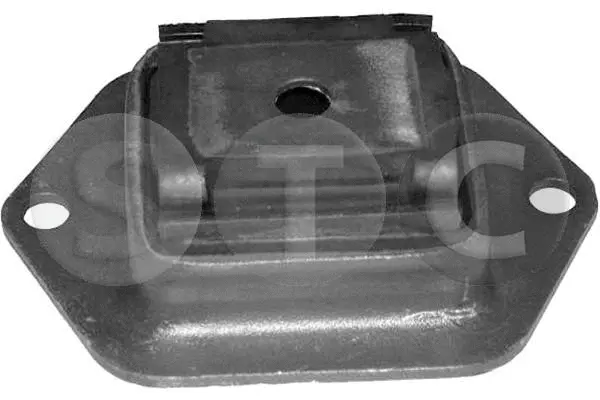 Bushing, axle beam (T402936)