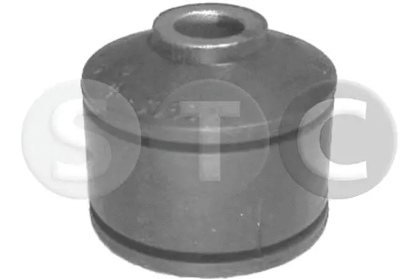 Mounting, control/trailing arm (T456497)