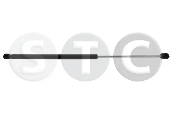 Gas Spring, boot/cargo area (T446457)