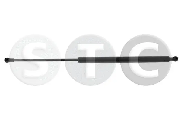 Gas Spring, boot/cargo area (T446793)