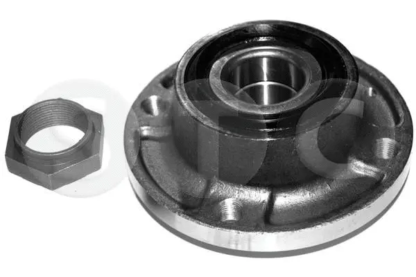 Wheel Hub (T490207)