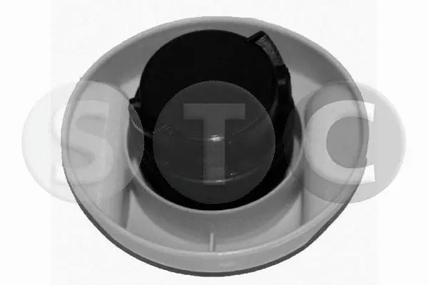 Sealing Cap, oil filler neck (T403684)