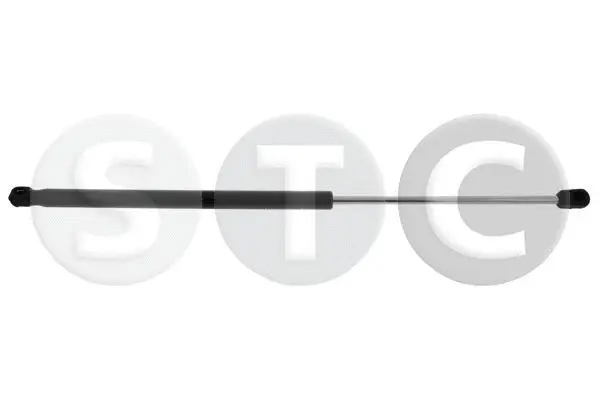 Gas Spring, boot/cargo area (T446258)