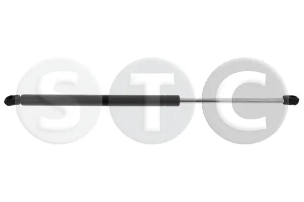 Gas Spring, boot/cargo area (T446899)