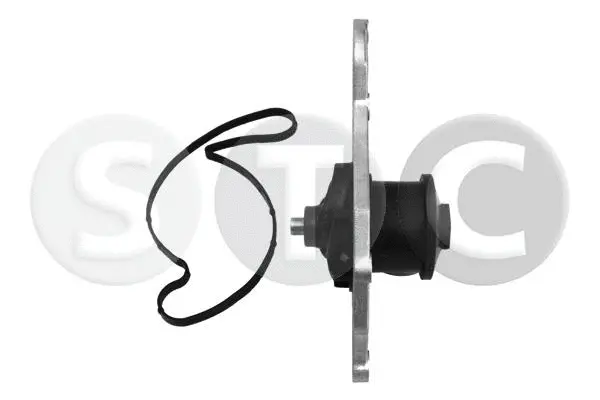 Water Pump, engine cooling (T432708)