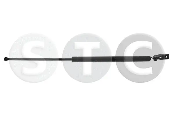 Gas Spring, boot/cargo area (T446200)