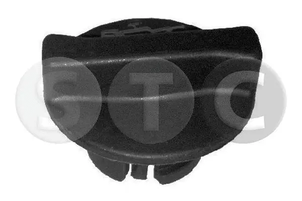Sealing Cap, oil filler neck (T403798)