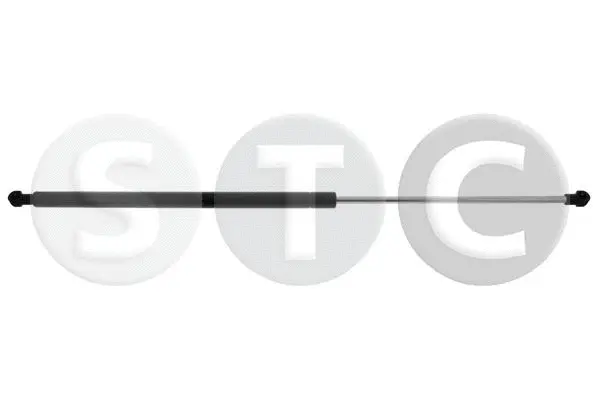 Gas Spring, boot/cargo area (T446570)