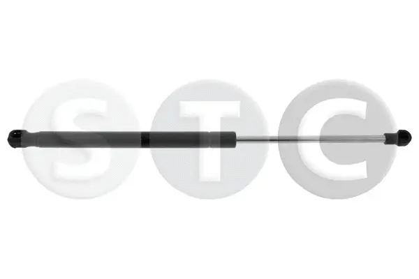 Gas Spring, boot/cargo area (T446341)