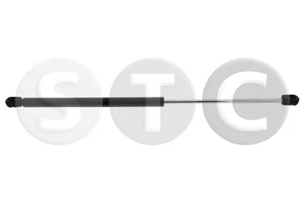 Gas Spring, bonnet (T446886)