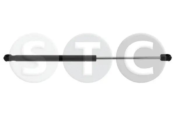 Gas Spring, boot/cargo area (T446198)