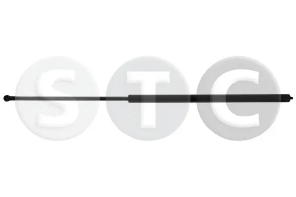 Gas Spring, boot/cargo area (T446485)