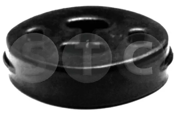 Mount, exhaust system (T441013)