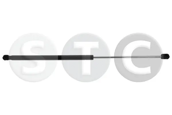 Gas Spring, boot/cargo area (T446350)
