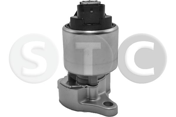 EGR Valve (T493153)