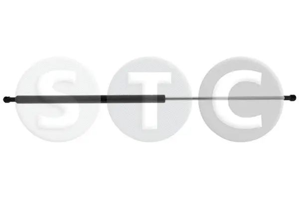 Gas Spring, boot/cargo area (T446422)