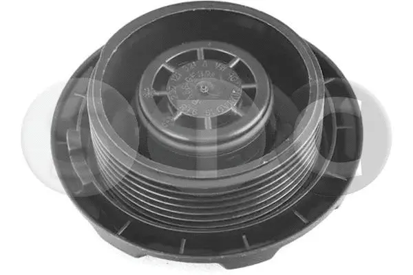 Cap, radiator (T416201)