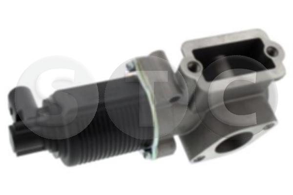 EGR Valve (T493205)