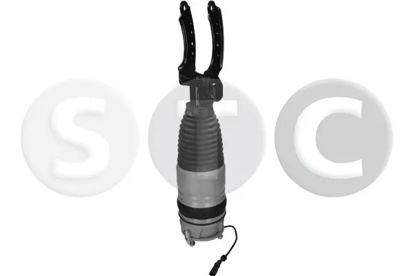 Air Suspension Strut