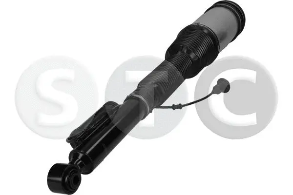 Air Suspension Strut (T442911)