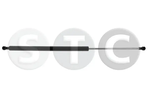 Gas Spring, boot/cargo area (T446262)