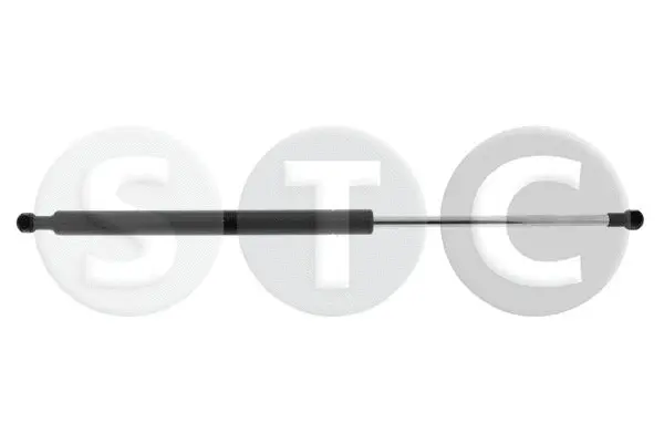 Gas Spring, boot/cargo area (T446268)