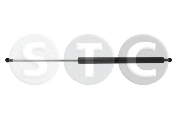 Gas Spring, boot/cargo area (T446657)