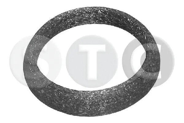 Seal Ring, exhaust pipe (T402382)