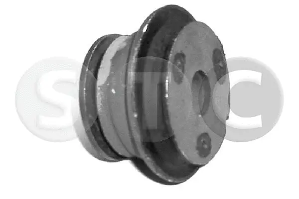 Bushing, axle beam (T404373)