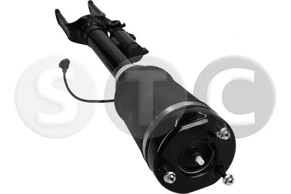 Air Suspension Strut