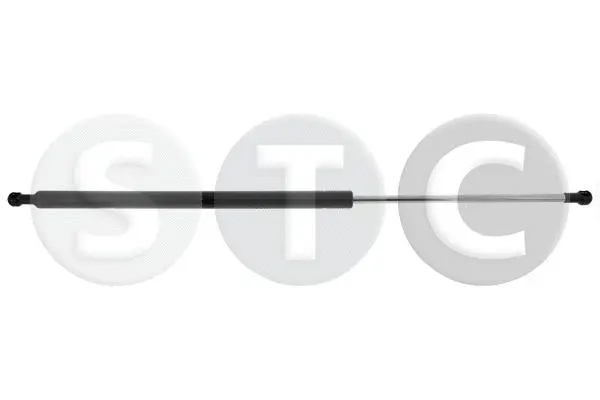 Gas Spring, boot/cargo area (T446579)