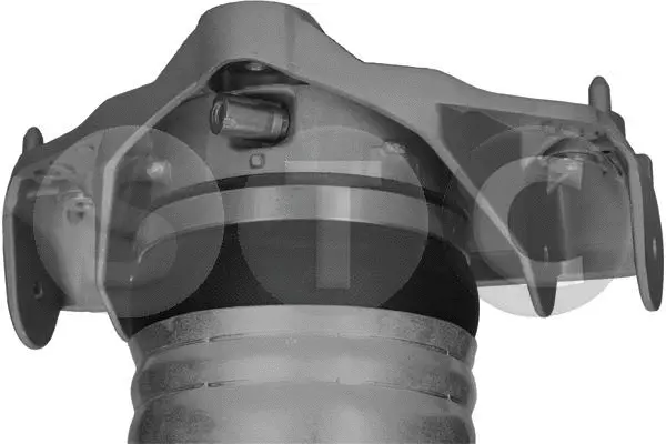 Air Suspension Strut