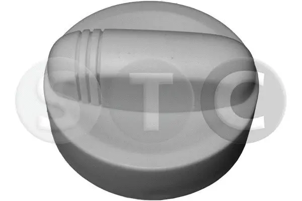Sealing Cap, oil filler neck (T403617)