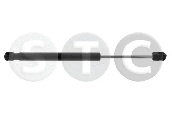 Gas Spring, bonnet (T446769)