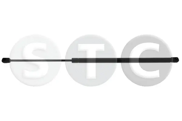 Gas Spring, boot/cargo area (T446614)
