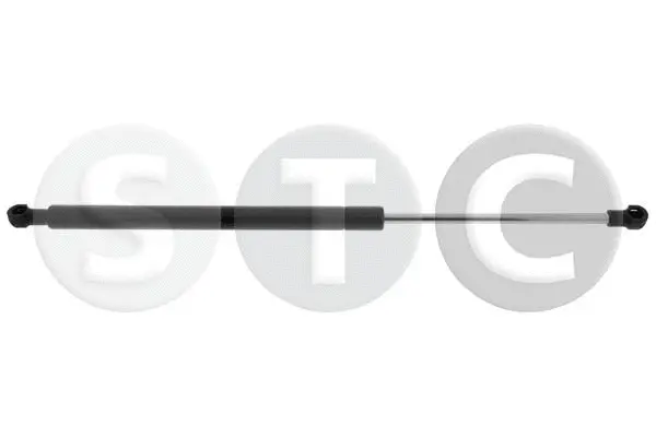 Gas Spring, boot/cargo area (T446269)