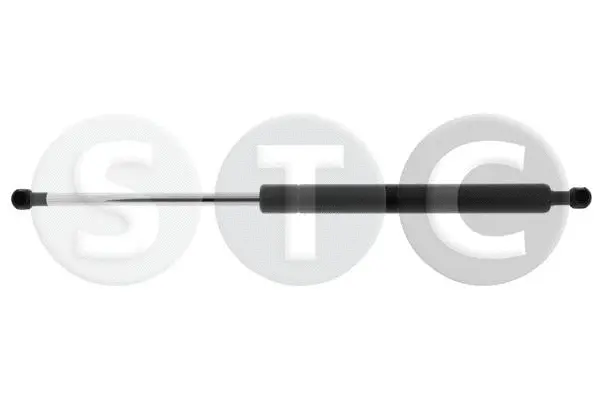 Gas Spring, boot/cargo area (T446843)