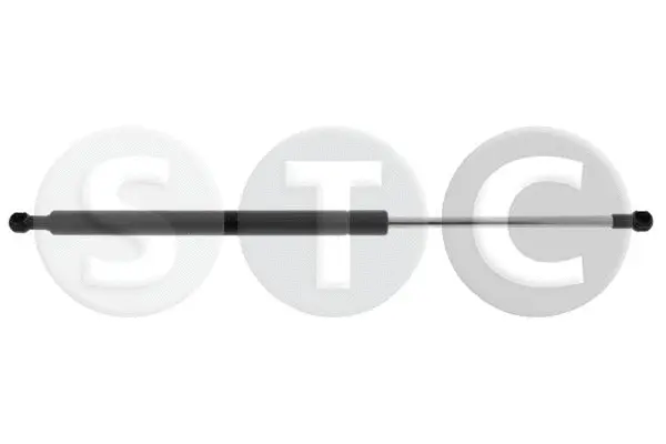 Gas Spring, boot/cargo area (T446449)