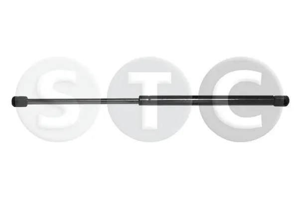 Gas Spring, boot/cargo area (T446289)