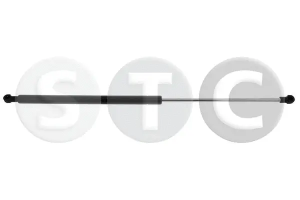 Gas Spring, bonnet (T446692)