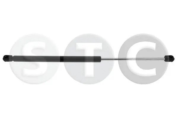 Gas Spring, boot/cargo area (T446424)