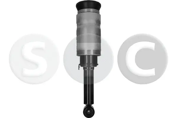 Air Suspension Strut (T442901)
