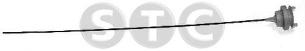 Oil Dipstick (T404725)