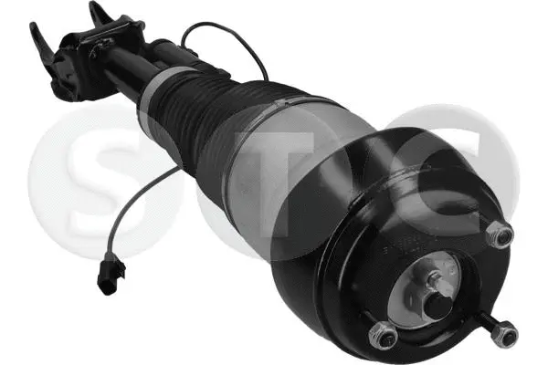 Air Suspension Strut (T442921)
