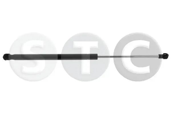 Gas Spring, boot/cargo area (T446887)