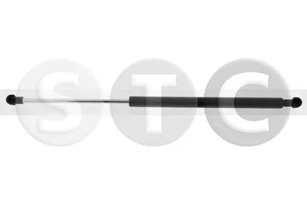 Gas Spring, boot/cargo area (T446639)